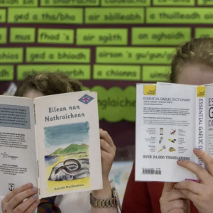 gaelic-dictionary-project-scotland-2025